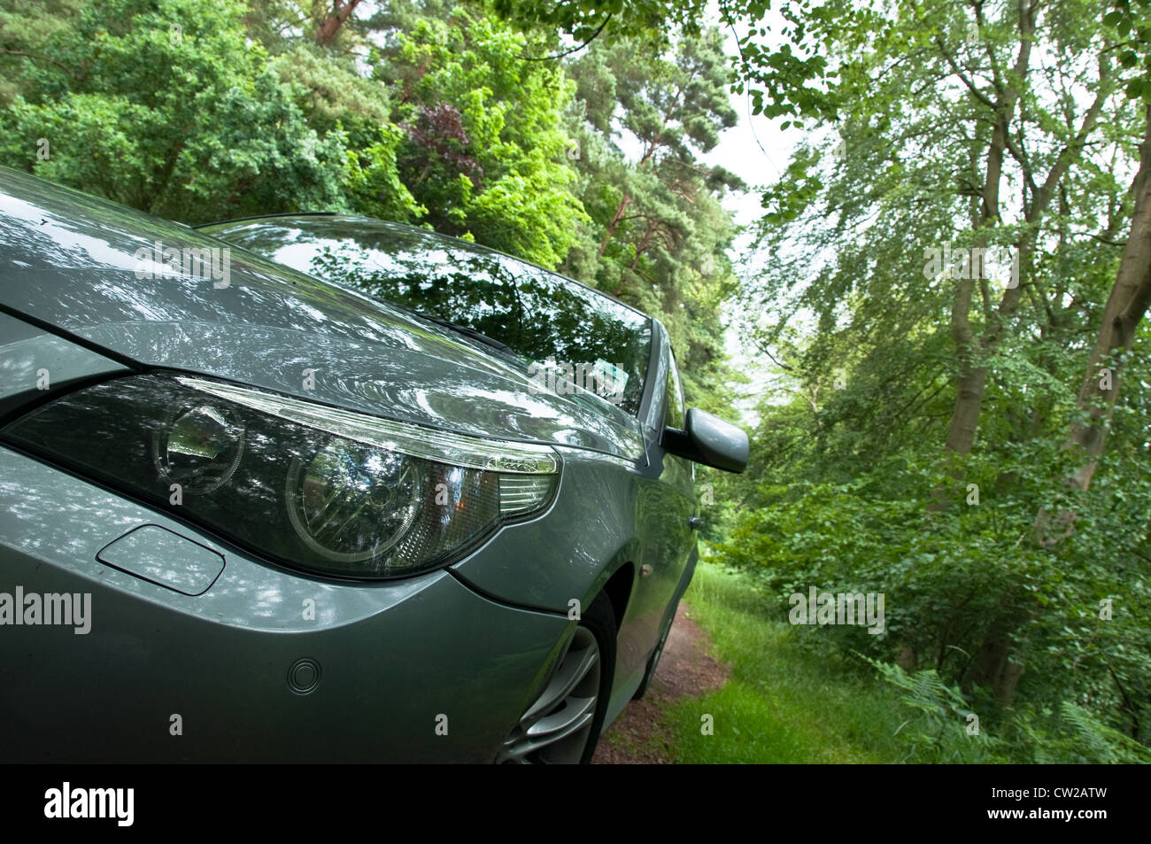 Frühling Feld Wald und Auto auf Boden Straße Stockfoto