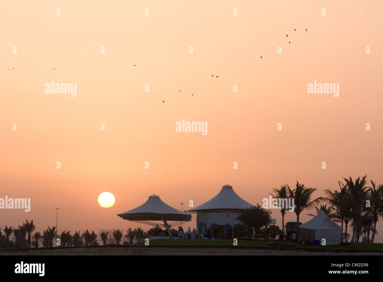 Dubai, Lichtstimmung in Dubai bei Sonnenaufgang Stockfoto