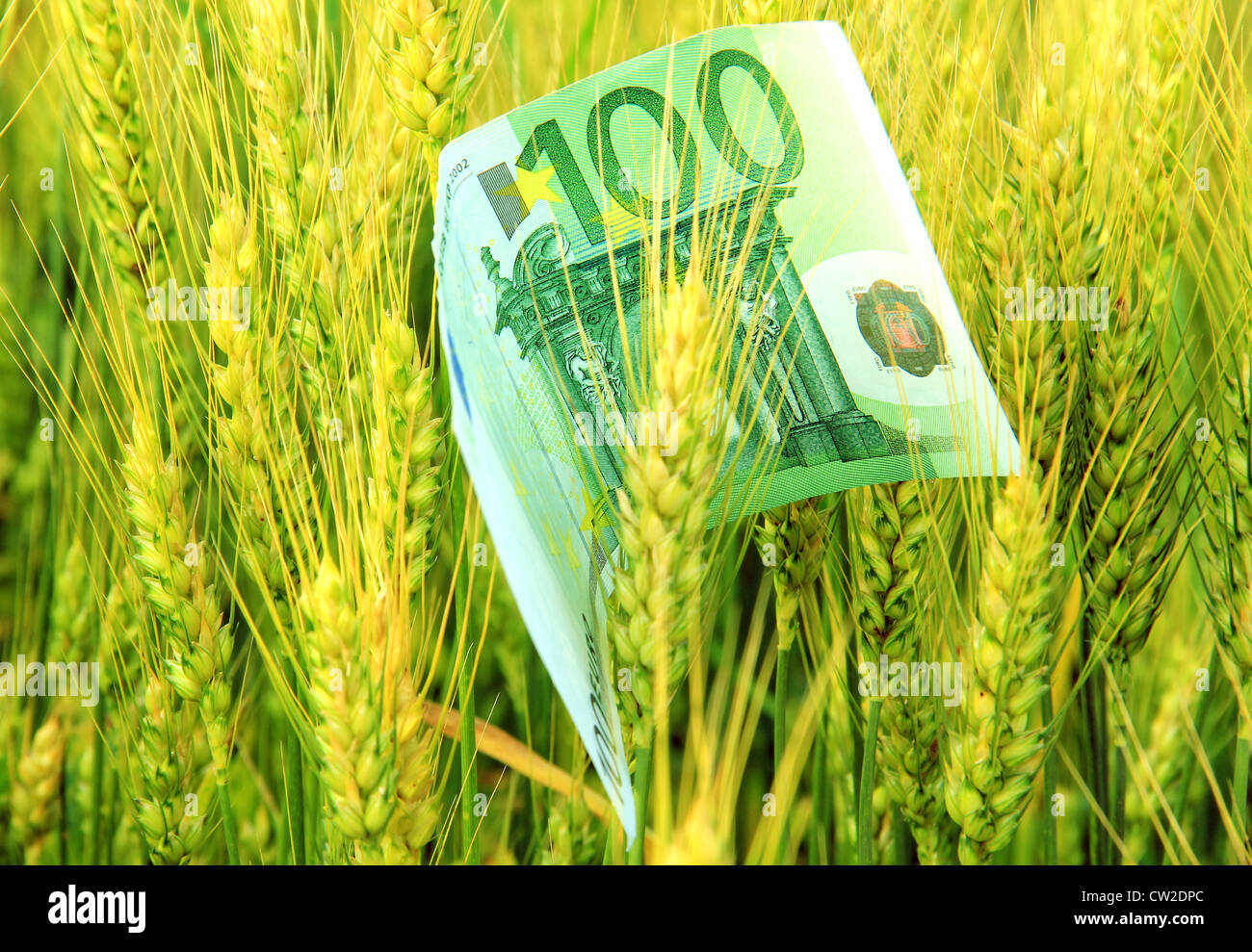 Teures Essen Stockfoto