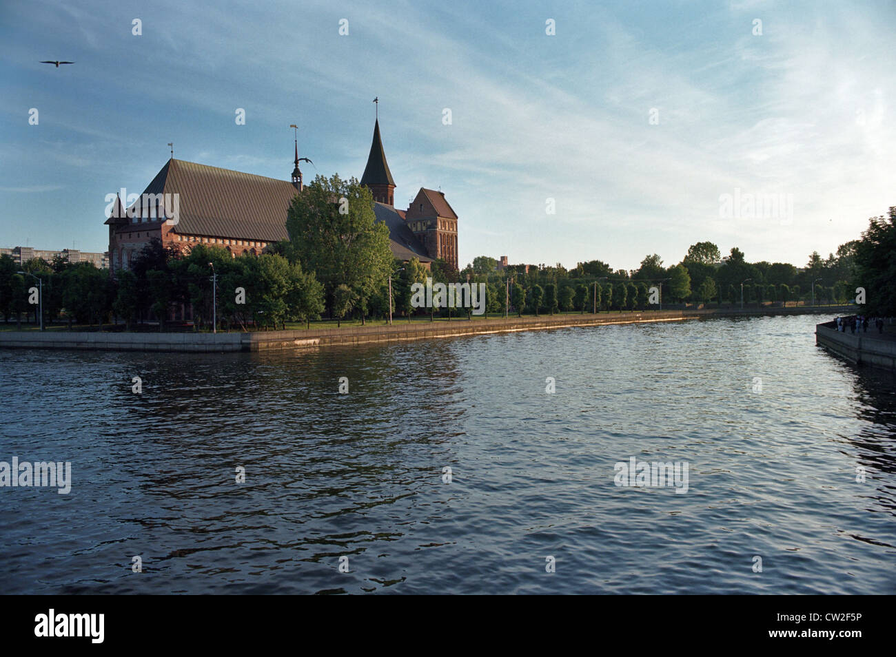 Koenigsberger Dom in Kaliningrad, Russland Stockfoto