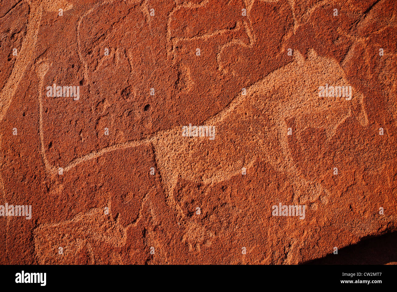 Twyfelfontein Felszeichnungen / rock Gravuren eines Löwen. Namibia Stockfoto