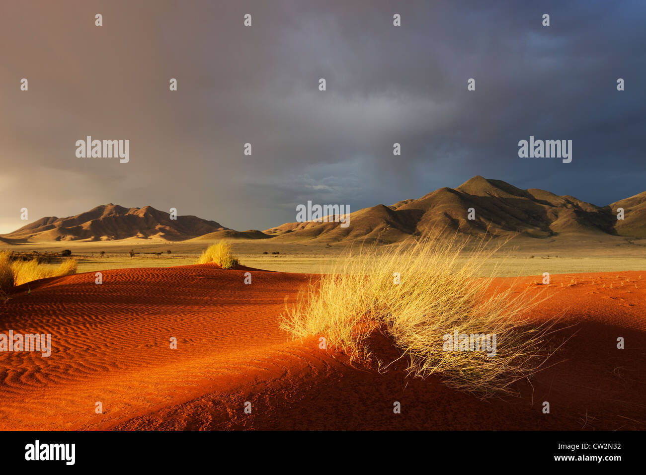 Sonnenuntergang Landschaft zeigt die einzigartige Ökologie der Namibwüste Südwesten oder pro - Namib. NamibRand Nature Reserve, Namibia Stockfoto