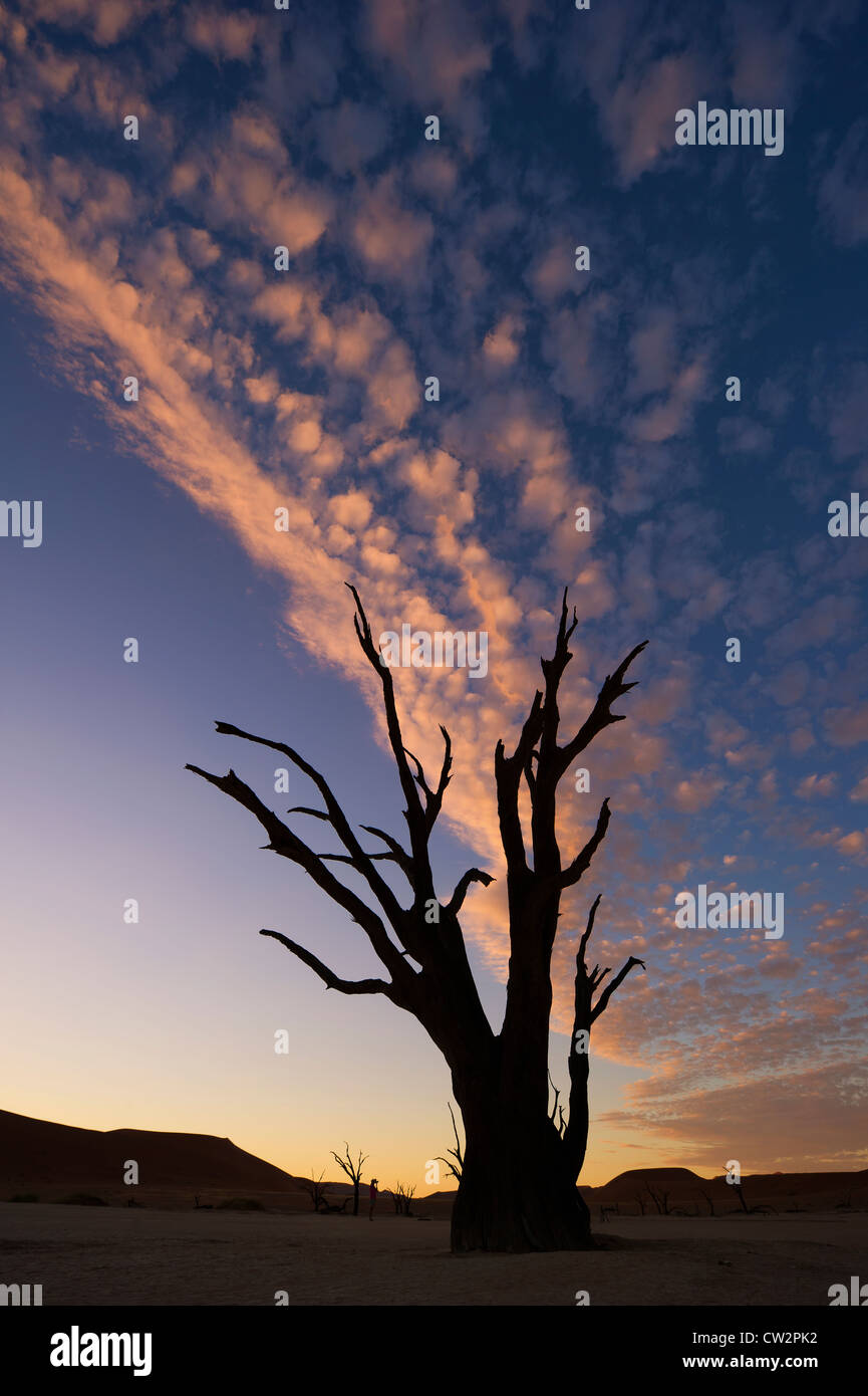 Salzpfanne. Tot Vlei.Namibia Stockfoto