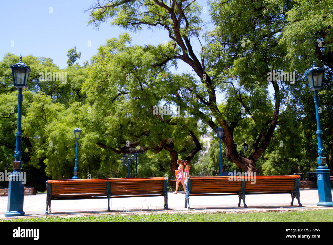 Mendoza Argentinien,Plaza Independencia,öffentlicher Park,Bank,Lampe,Bäume,Stamm,Äste,Blätter,Vegetation,Grünfläche,Frau weibliche Frauen,Wandern,Promenade,l Stockfoto Mendoza Argentinien,Plaza Independencia,öffentlicher Park,Bank,Lampe,Bäume,Stamm,Äste,Blätter,Vegetation,Grünfläche,Frau weibliche Frauen,Wandern,Promenade,l Stockfoto