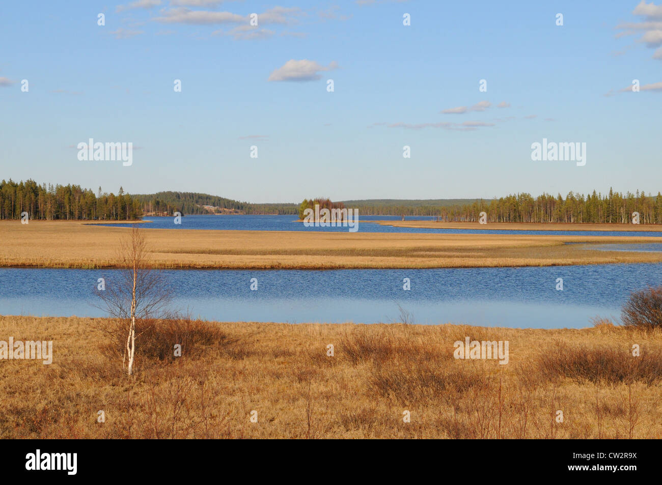 Typische finnische See im Nadelwald, Kuusamo, Finnland Stockfoto