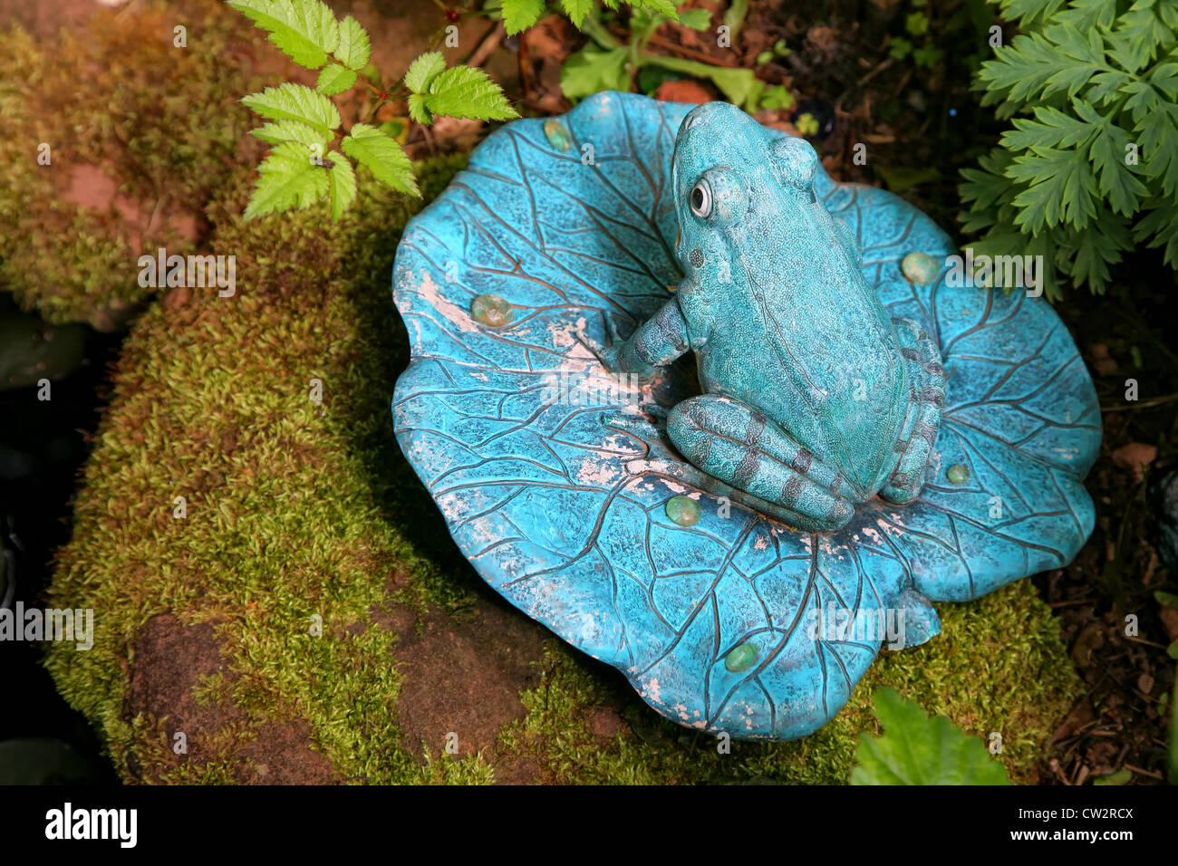 Keramischer gartenfrosch Fotos und Bildmaterial in hoher Auflösung