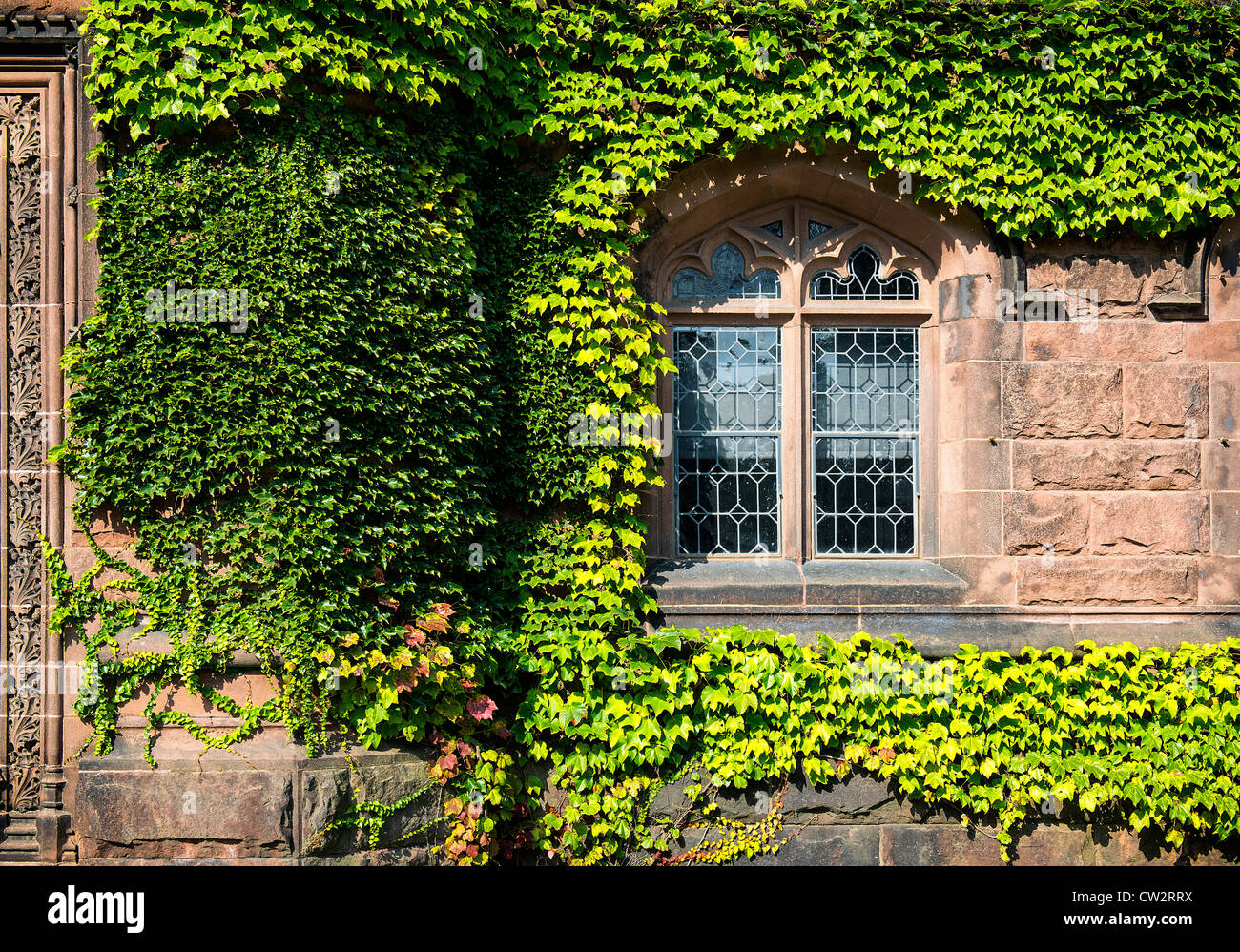Ivy League Architektur, Princeton University, New Jersey, USA Stockfoto