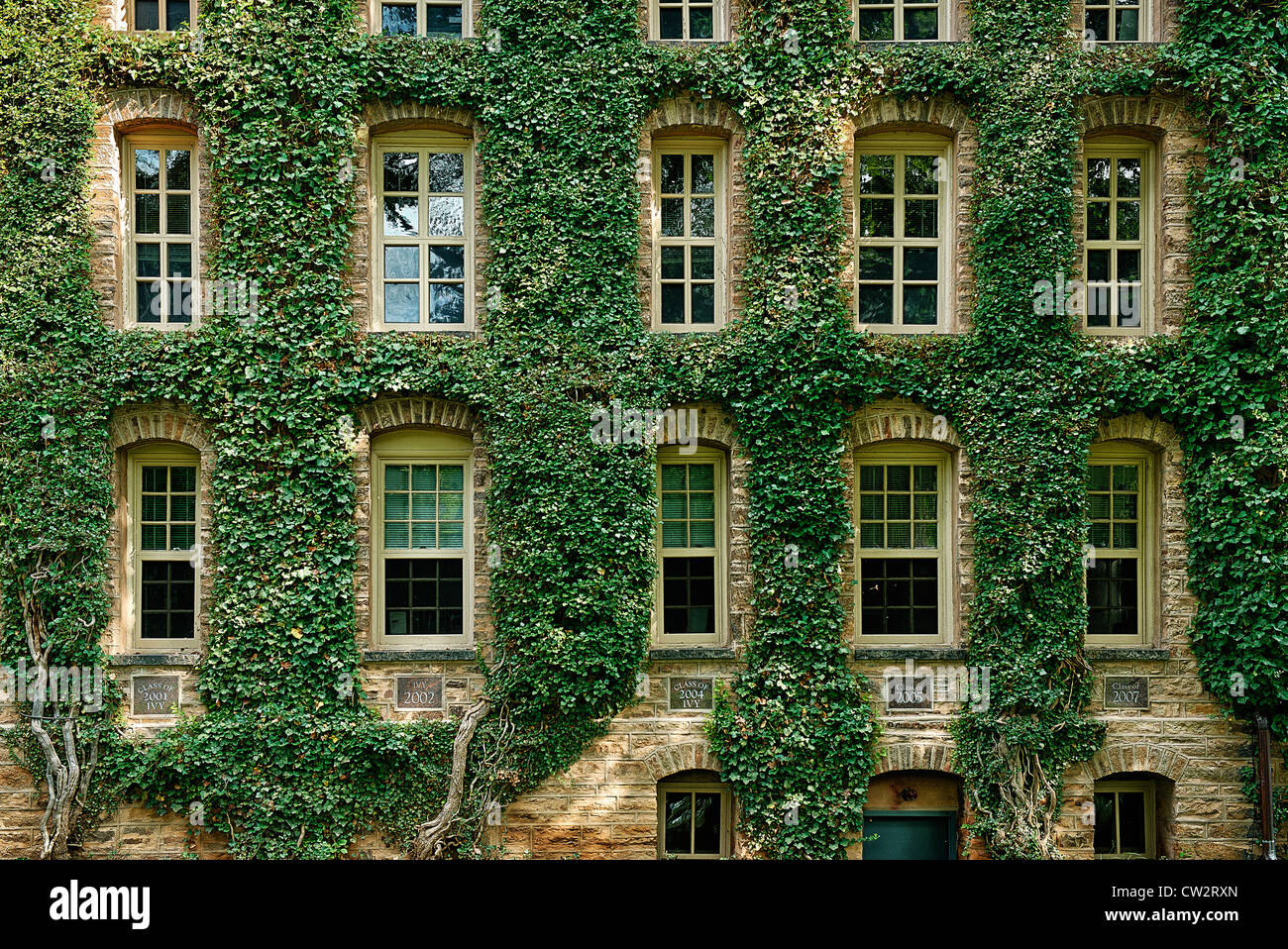 Efeu bedeckt Informationen Gebäude, Princeton University, New Jersey, USA Stockfoto