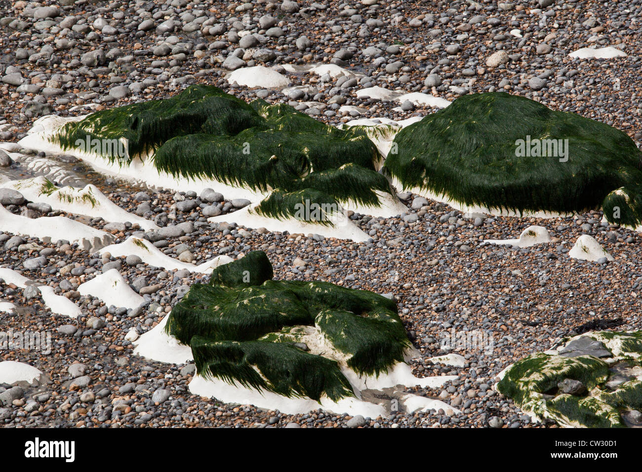 Sussex-Strand Stockfoto