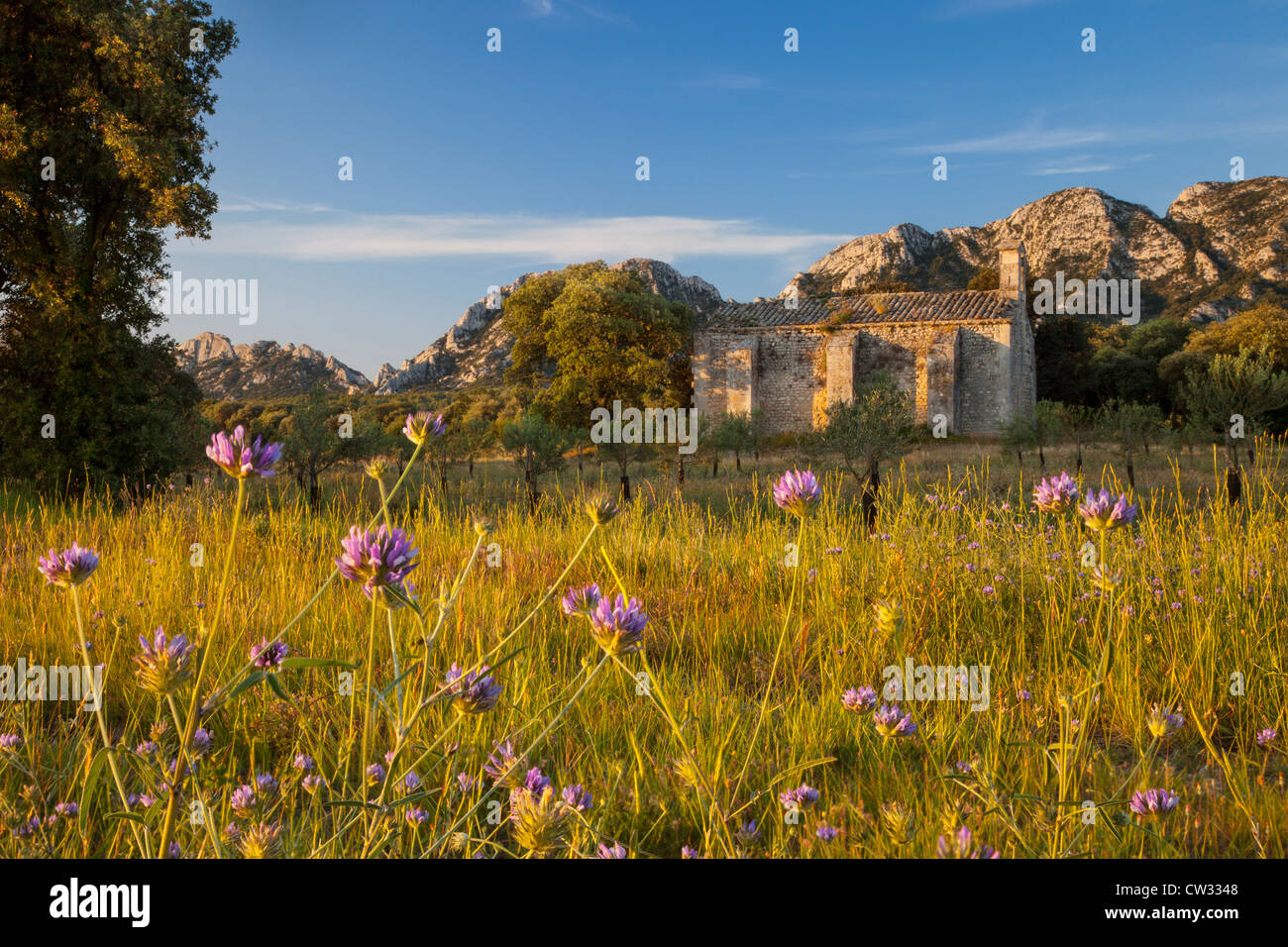 Sonnenaufgang über dem Chapelle de Romanin und die Berge der Alpilles in der Nähe von Saint Remy de Provence, Frankreich Stockfoto