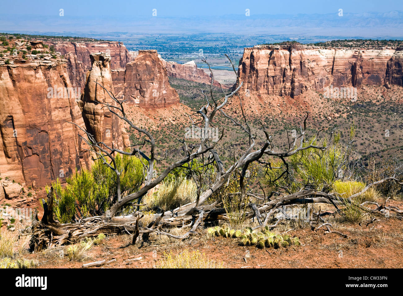 Einer der vielen spektakulären Ansichten in Colorado National Monument in der Nähe von Fruita in western Colorado. Stockfoto