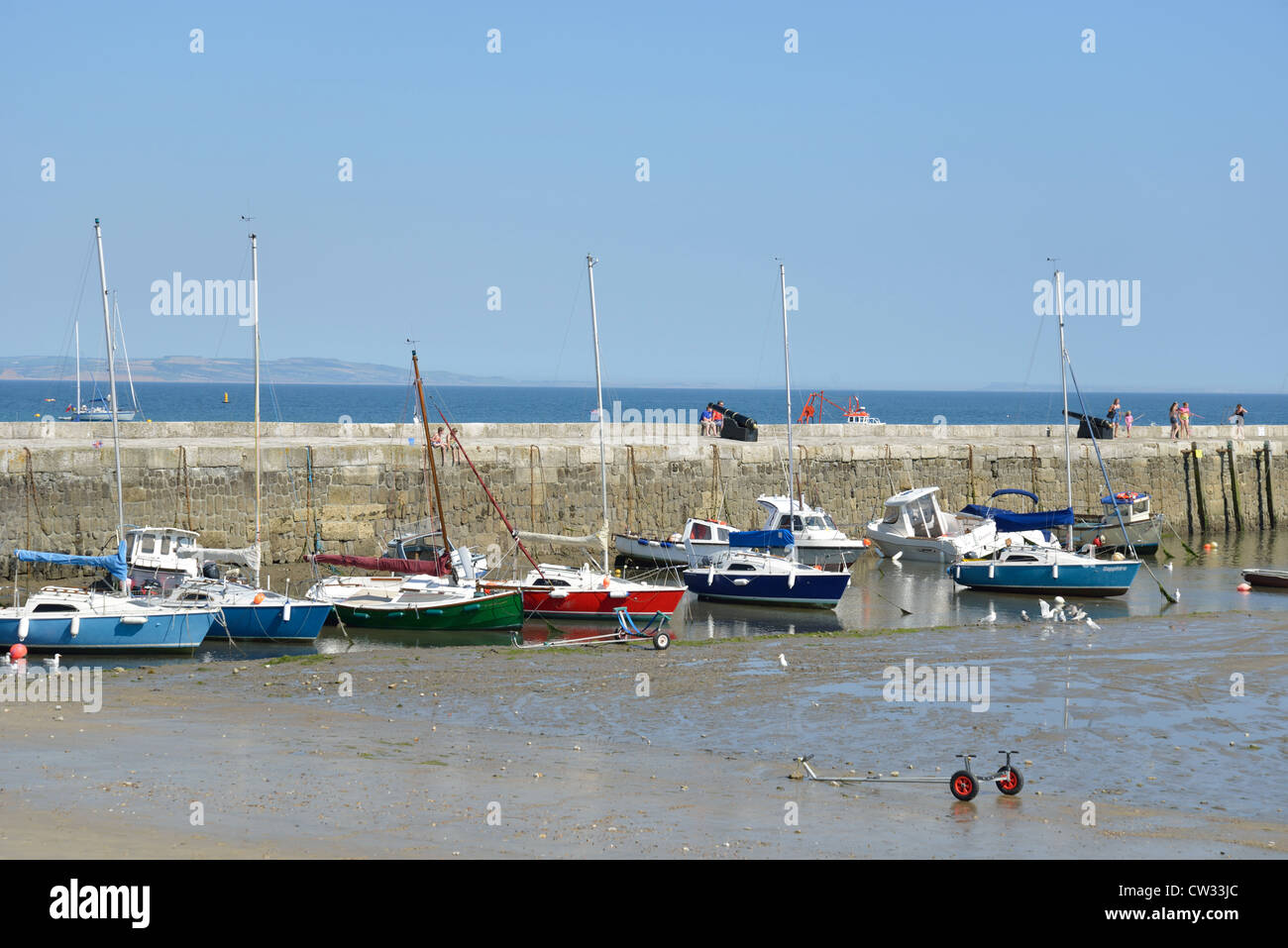"Cobb" Hafen Wand, Lyme Regis, Dorset, England, Vereinigtes Königreich Stockfoto