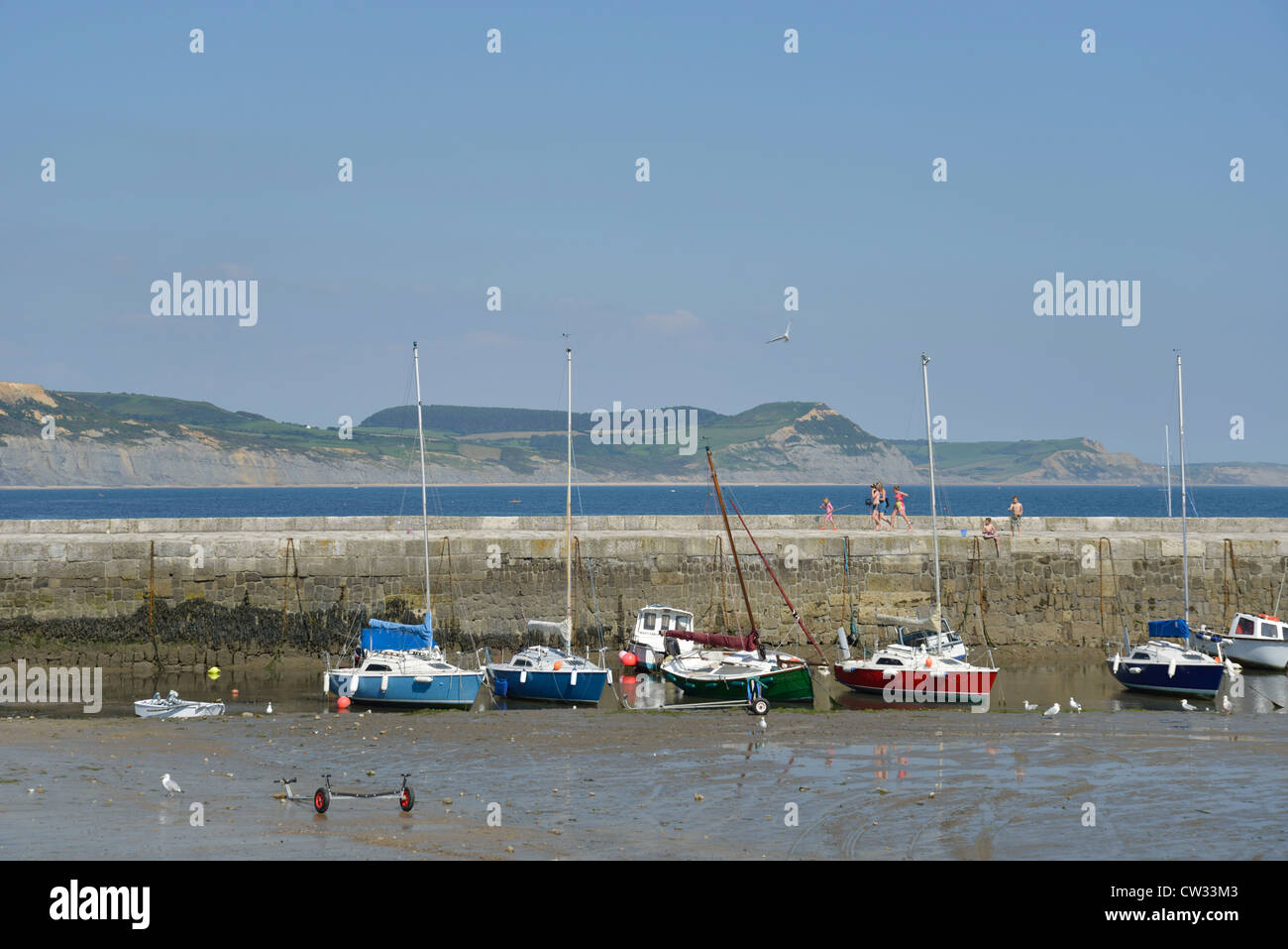 "Cobb" Hafen Wand, Lyme Regis, Dorset, England, Vereinigtes Königreich Stockfoto