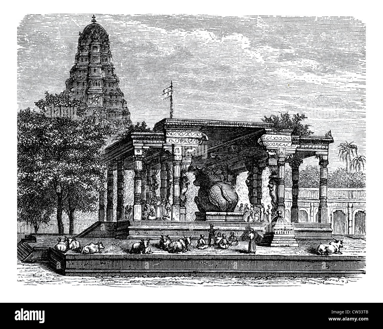 Die heilige Kuh der Tanjore Stockfoto