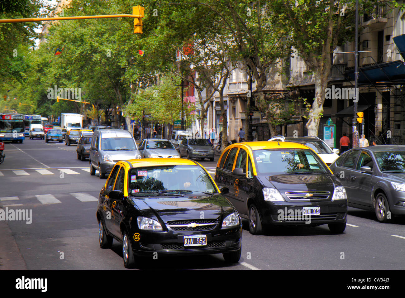 Buenos Aires Argentinien, Avenida de Mayo, Bezirk, Straßenszene, von Bäumen gesäumte Allee, Verkehr, einfache Fahrt, Auto, Taxi, Taxis, Taxi, Taxis, Taxis, schwarz-gelb, Transportatio Stockfoto