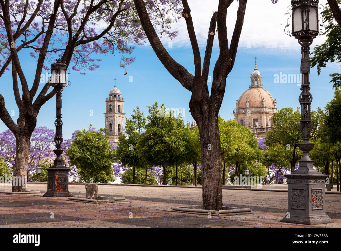 Jerez De La Frontera, Andalusien, Spanien, Europa. Blick auf Dom durch Jacaranda-Bäume. Stockfoto