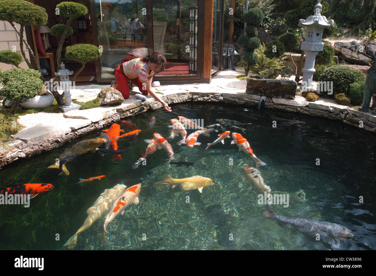 Koi-Teich in Reigoldswil (Schweiz Stockfotografie - Alamy