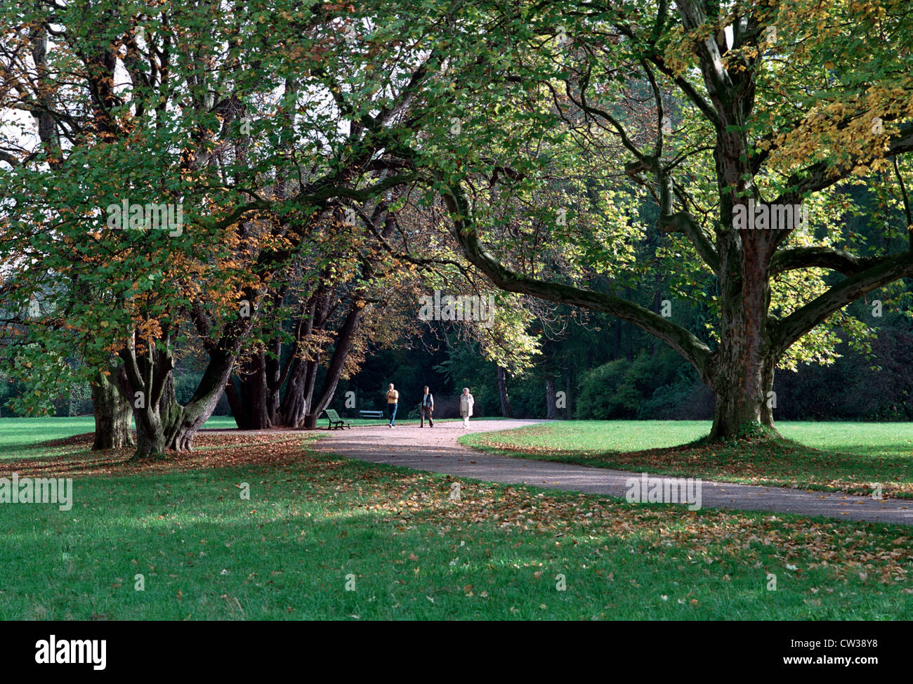 Weimar, Herbstimpression Stockfoto