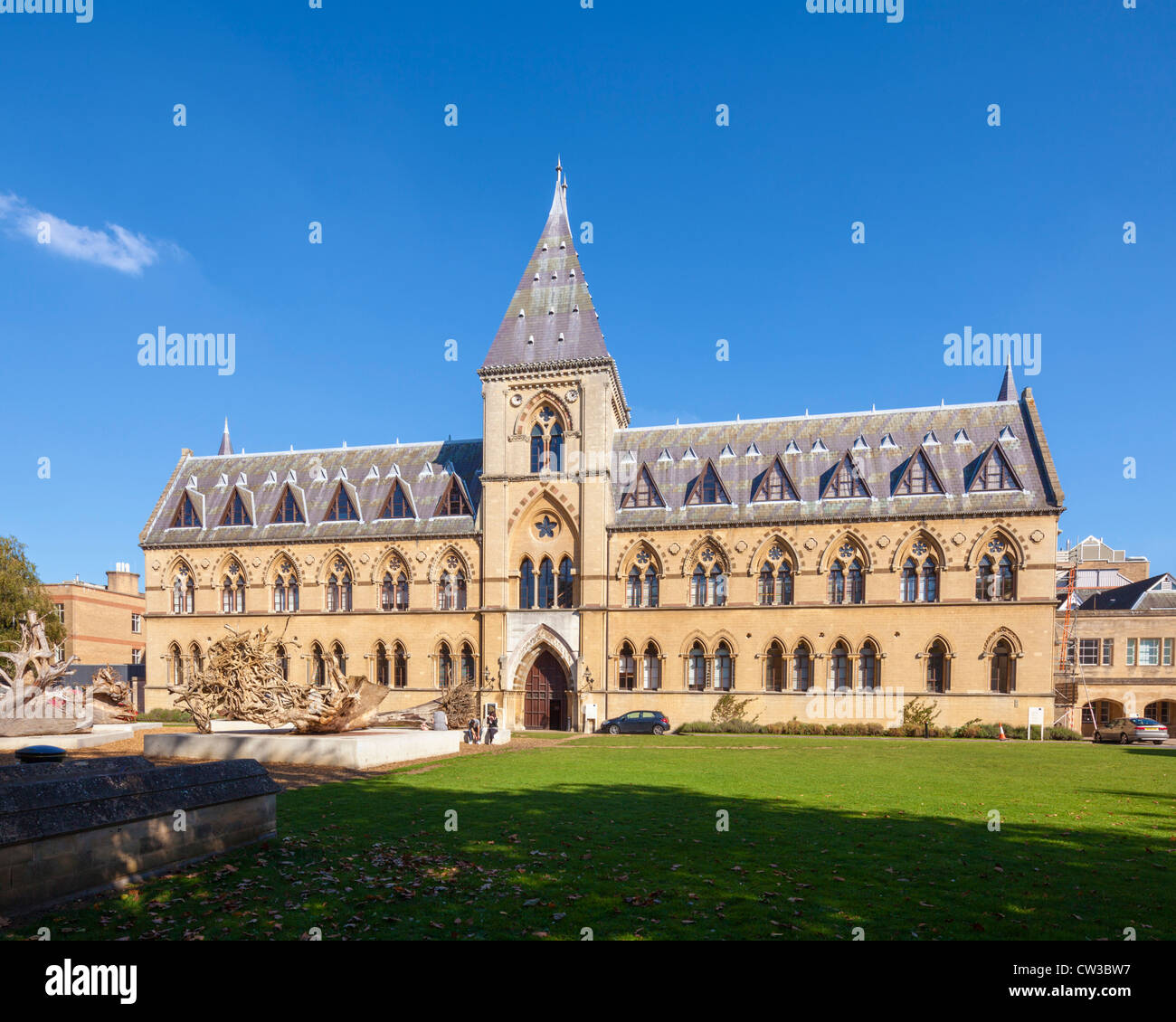 Oxford University Museum of Natural History Stockfoto