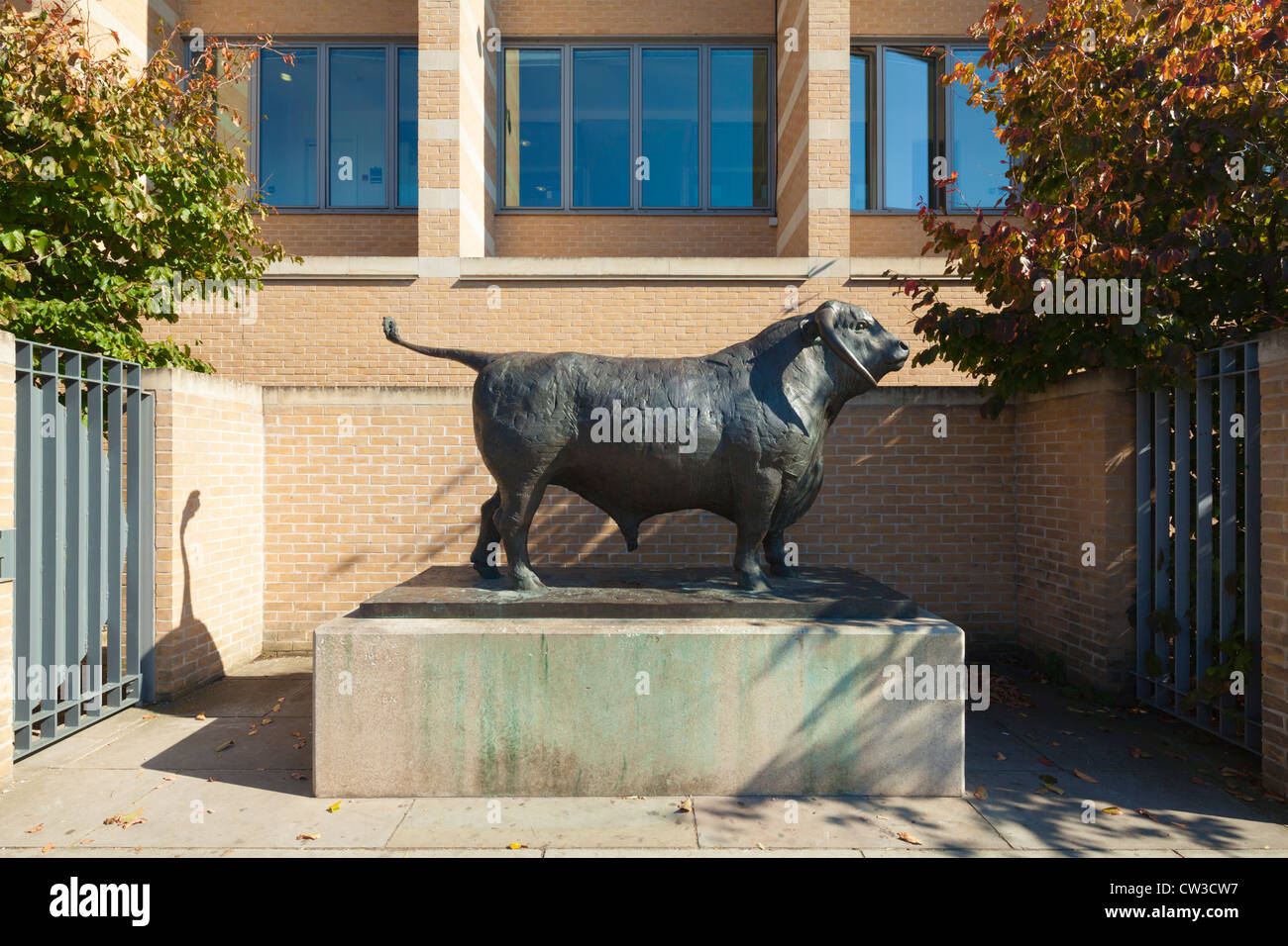 Ochse Skulptur Oxford Symbol Stockfoto