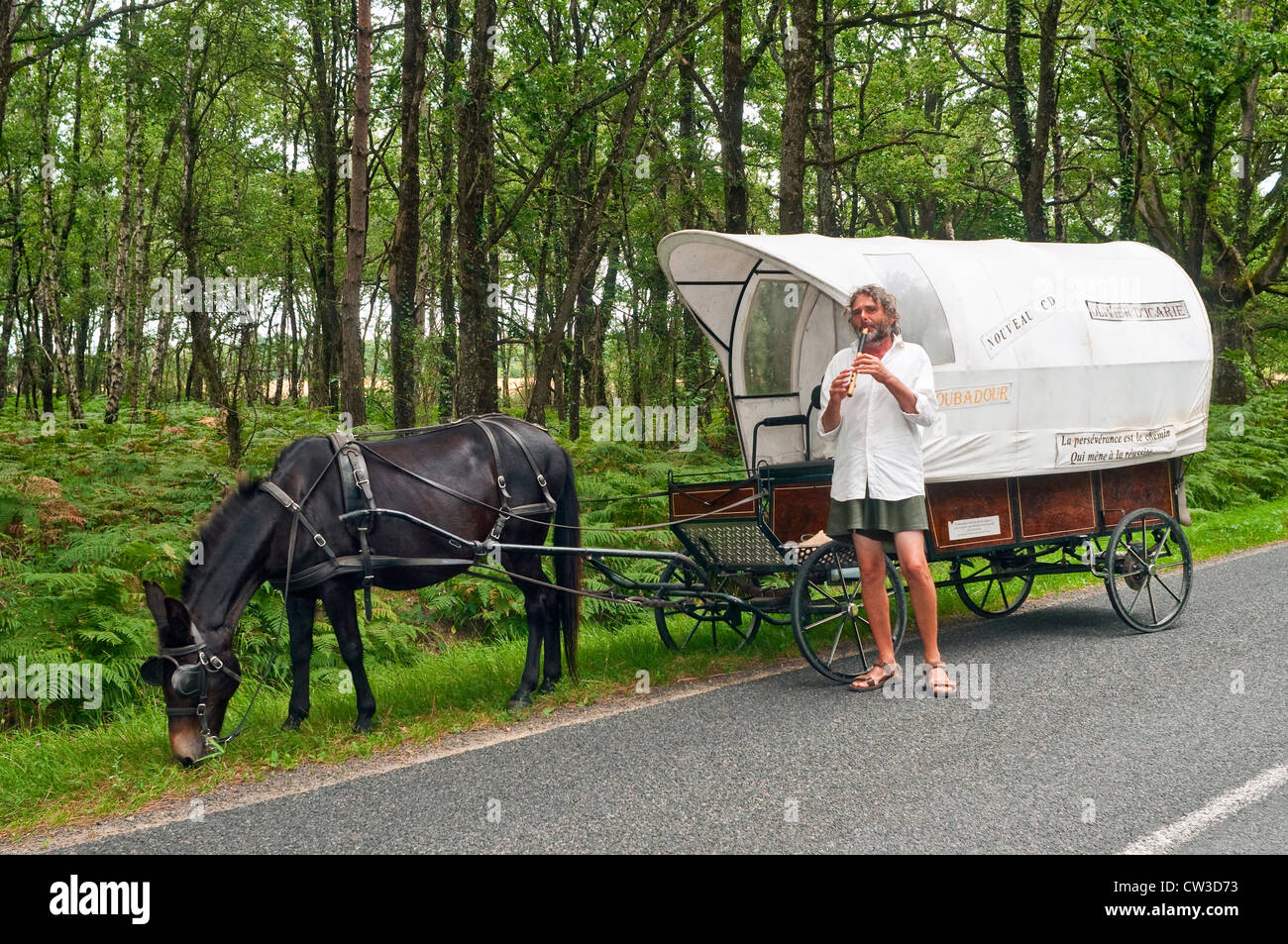 Troubadour mit Maultier gezeichnet Holzwohnwagen - Frankreich. Stockfoto