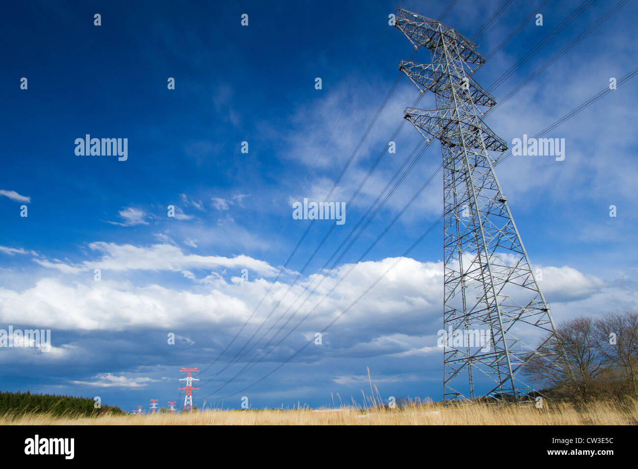 Telegraphenmast und elektrische Kabel Stockfoto