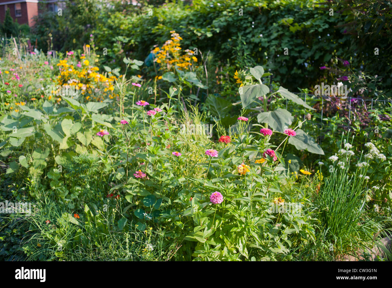 Blumen in einem städtischen Garten auf Samstag, 11. August 2012 gesehen