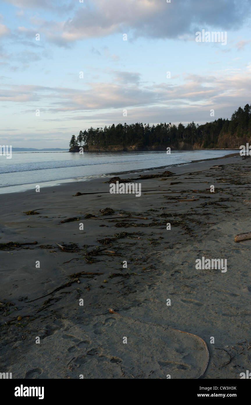 Sonnenuntergang, Crescent Beach, Washington Stockfoto