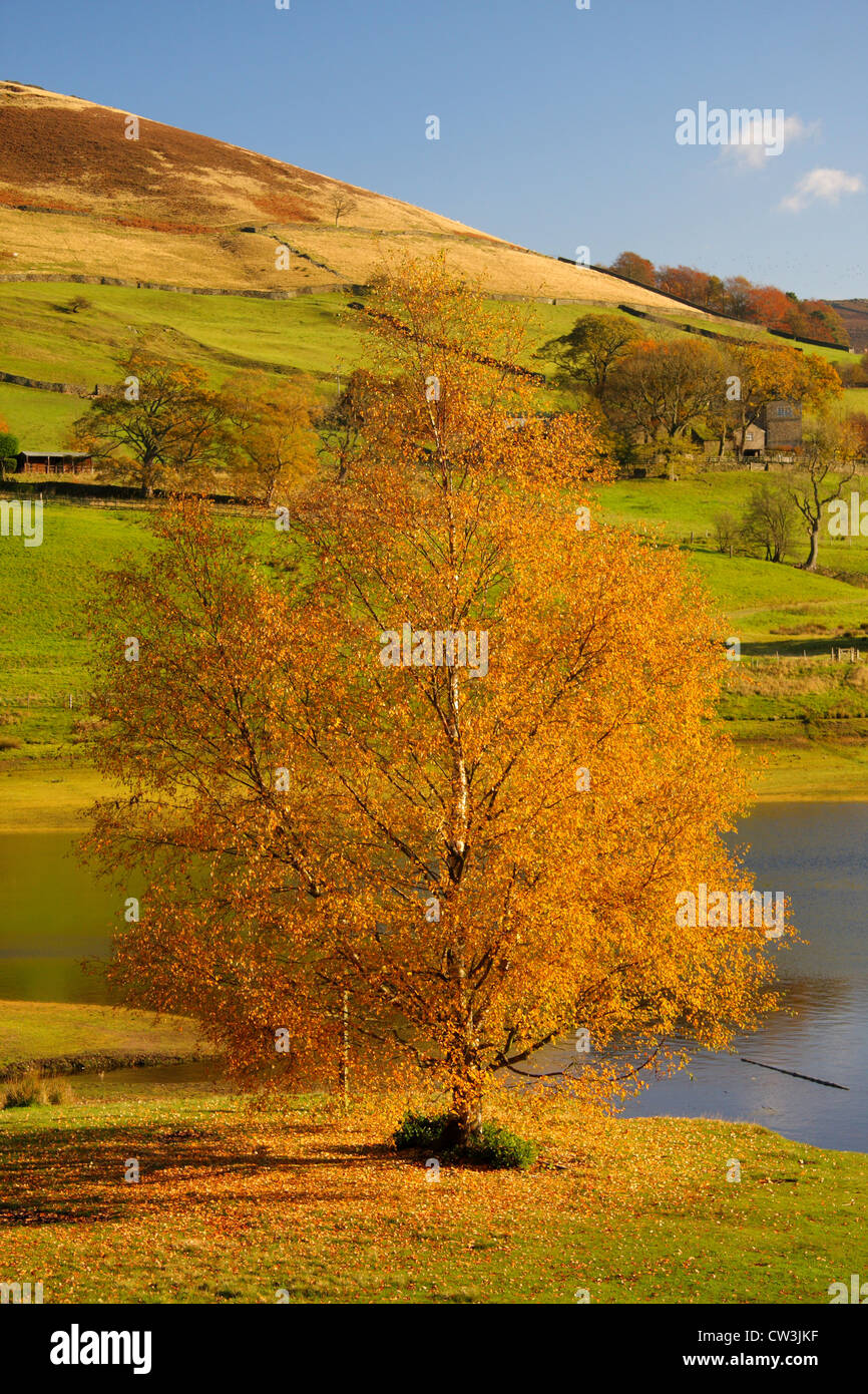 Schönen Herbsttag am oberen Derwent Valley, Peak District, Nationalpark, Ladybower Vorratsbehälter, Derbyshire. UK Stockfoto