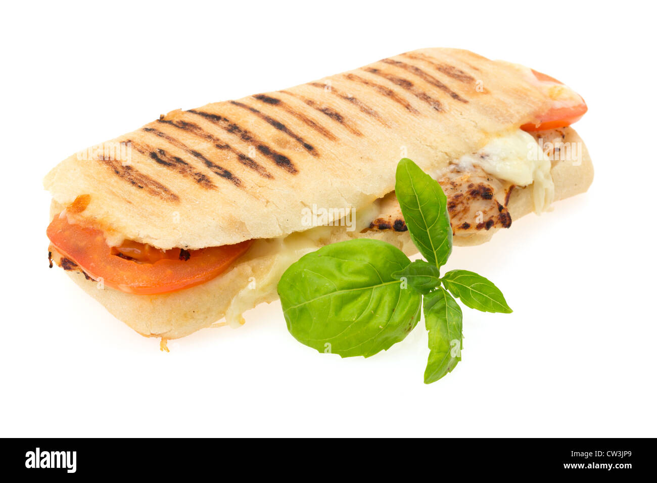 Gegrilltes Hähnchen, Tomate und Mozzarella Käse Panini Sandwich - Studio gedreht mit weißem Hintergrund Stockfoto