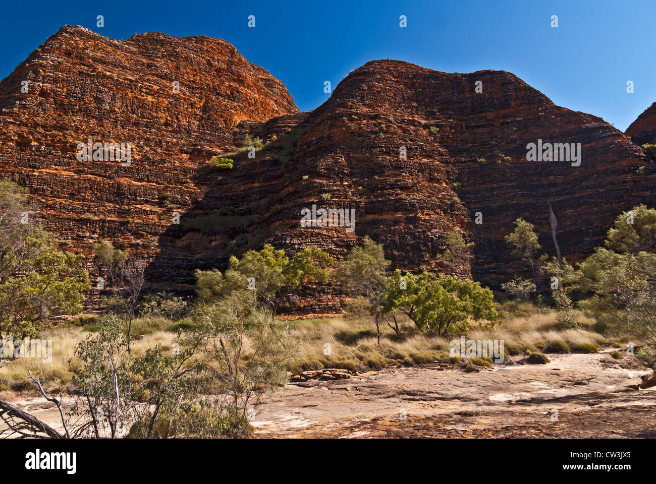 BUNGLE BUNGLE RANGE, PURNULULU NATIONAL PARK, WESTERN AUSTRALIA, AUSTRALIEN Stockfoto