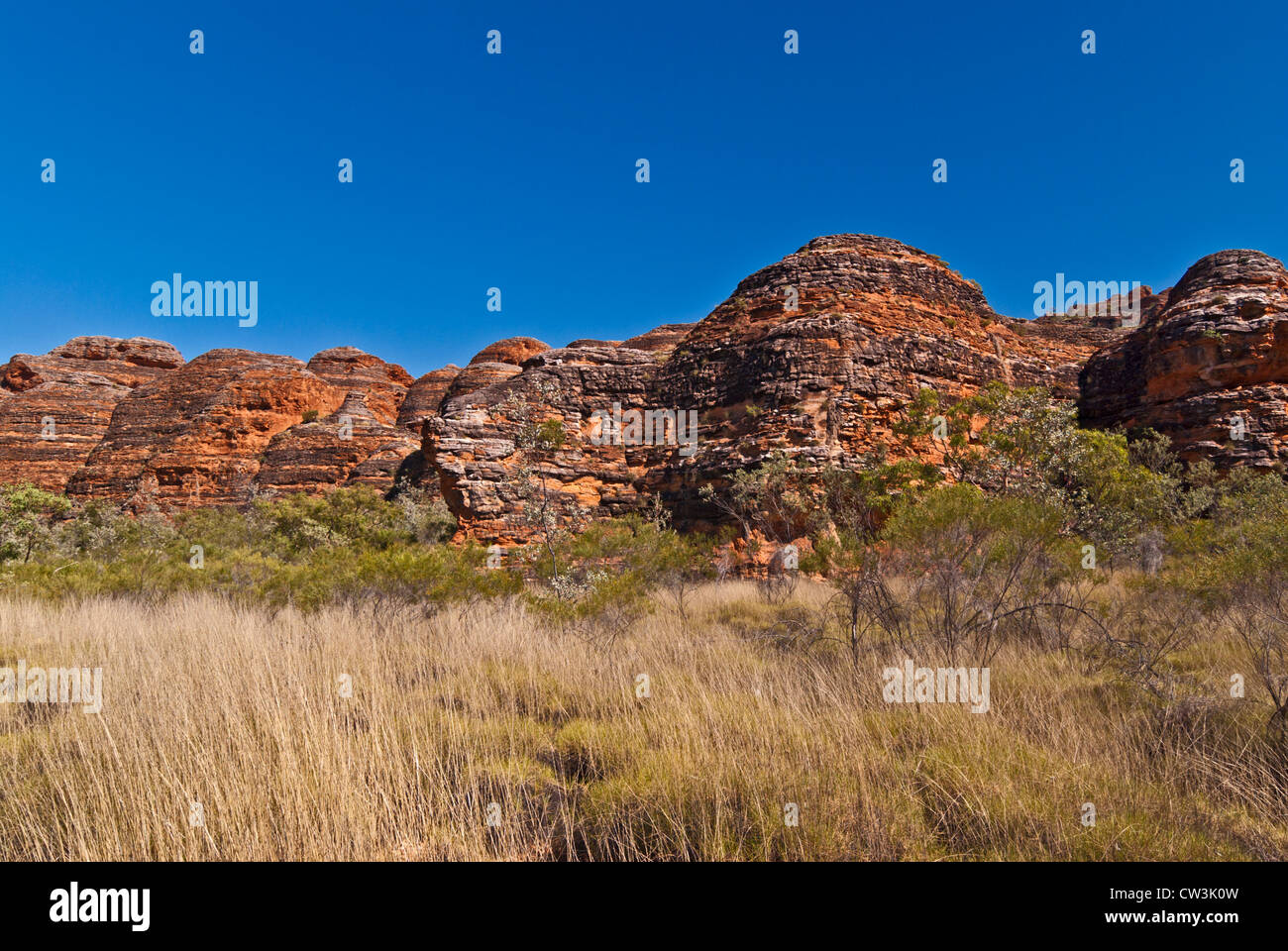 BUNGLE BUNGLE RANGE, PURNULULU NATIONAL PARK, WESTERN AUSTRALIA, AUSTRALIEN Stockfoto