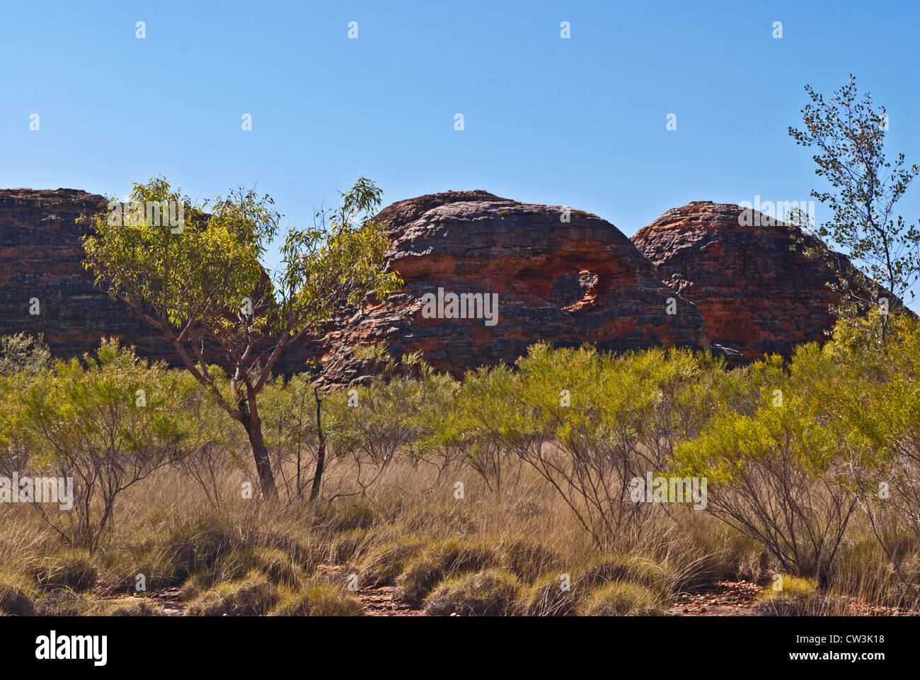 BUNGLE BUNGLE RANGE, PURNULULU NATIONAL PARK, WESTERN AUSTRALIA, AUSTRALIEN Stockfoto