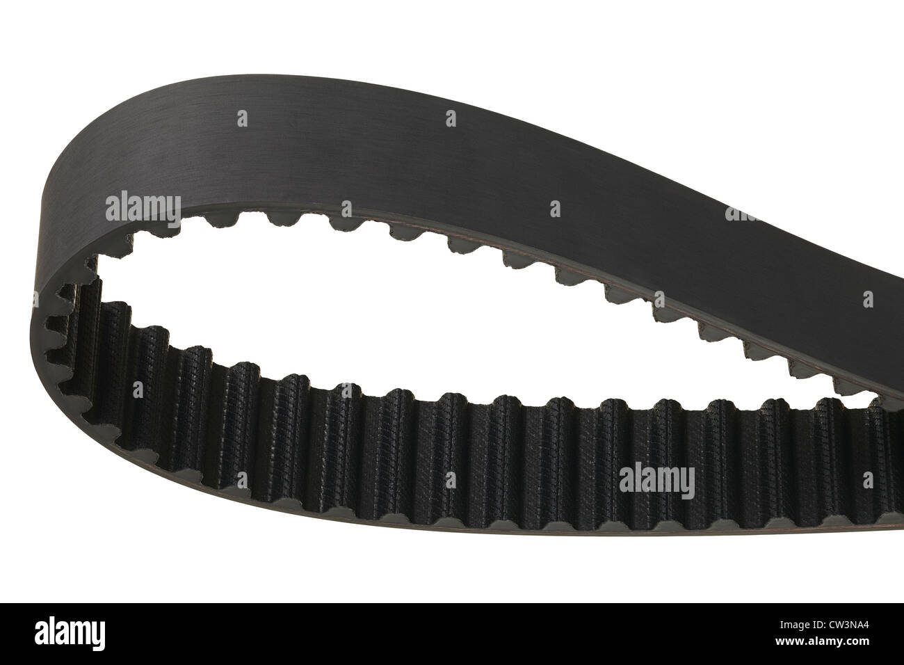 Ein Auto Zahnriemen isoliert auf weißem Hintergrund. Stockfoto