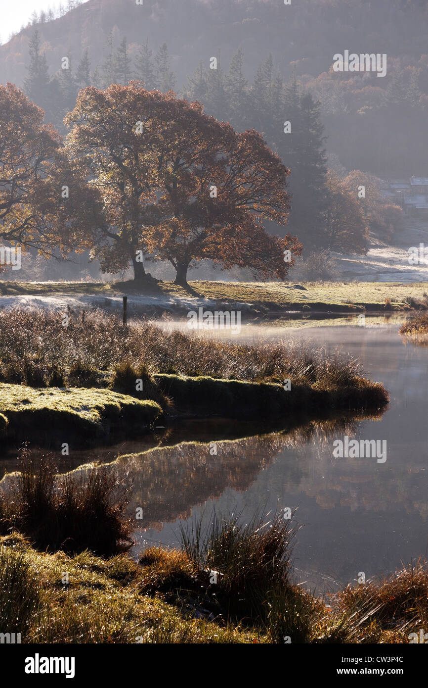 Frostigen Herbstmorgen im November durch den Fluß Brathay, Elterwater, Lake District, Cumbria, England, UK Stockfoto