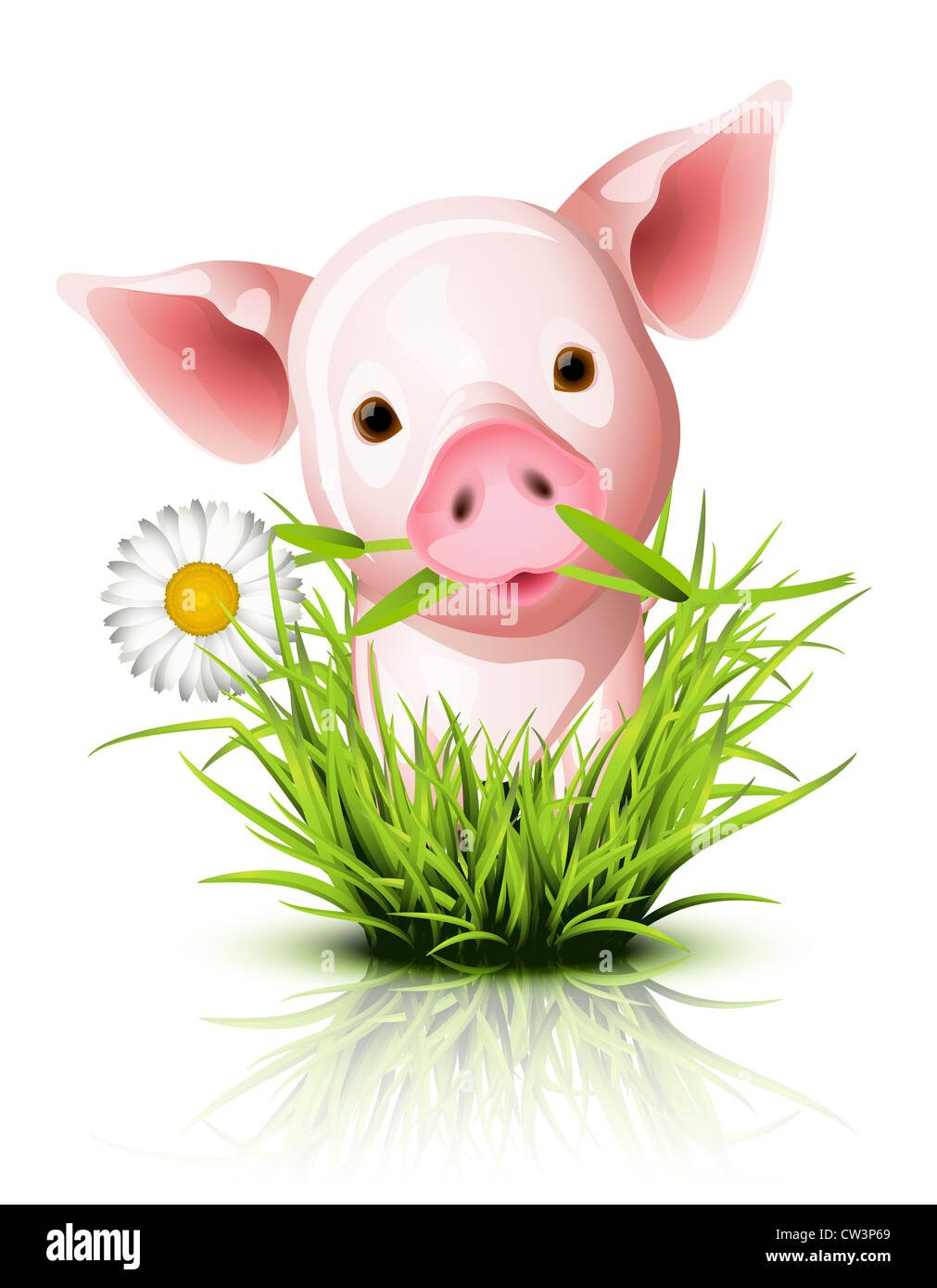 Rosa Schweinchen in Grasgrün Stockfoto