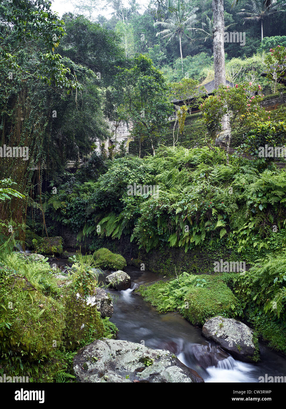 Das heilige Wasser Tempel des Gunung Kawi in Tampaksiring, Bali Stockfoto
