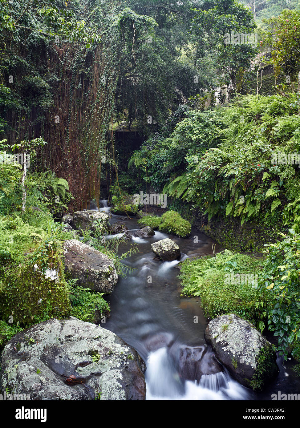 Das heilige Wasser Tempel des Gunung Kawi in Tampaksiring, Bali Stockfoto