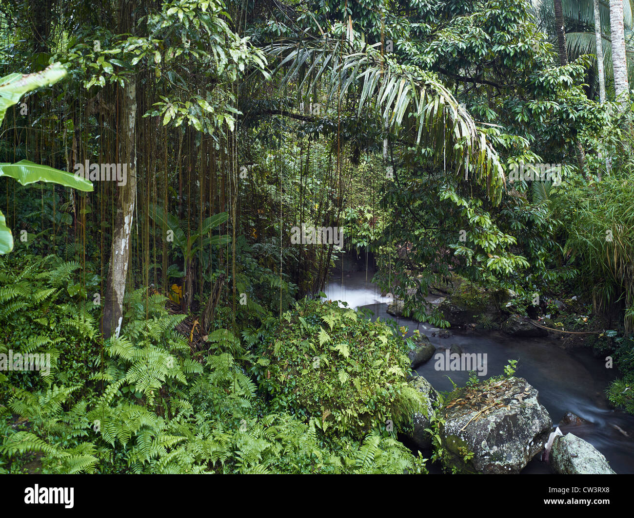 Das heilige Wasser Tempel des Gunung Kawi in Tampaksiring, Bali Stockfoto