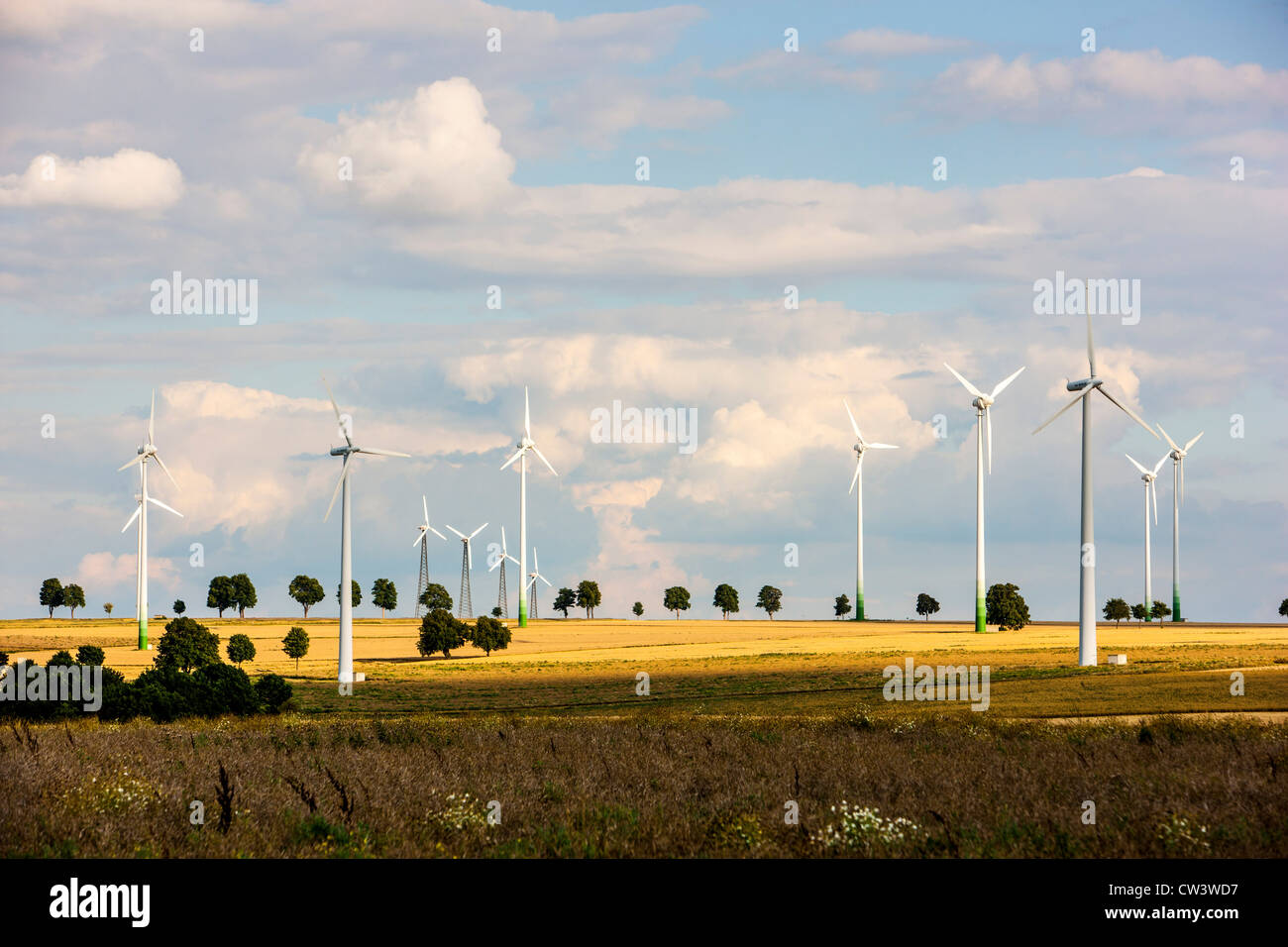 Windkraftanlagen, Wind-Kraft-Park, alternative Energiegewinnung. Meerhof, Nordrhein-Westfalen, Deutschland, Europa. Stockfoto