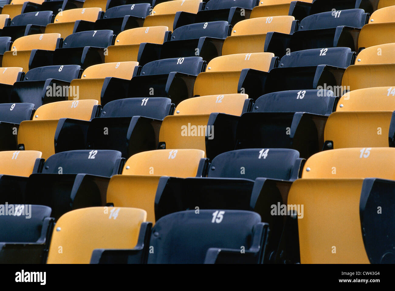 Leere Sitzreihe im Sportstadion Stockfoto