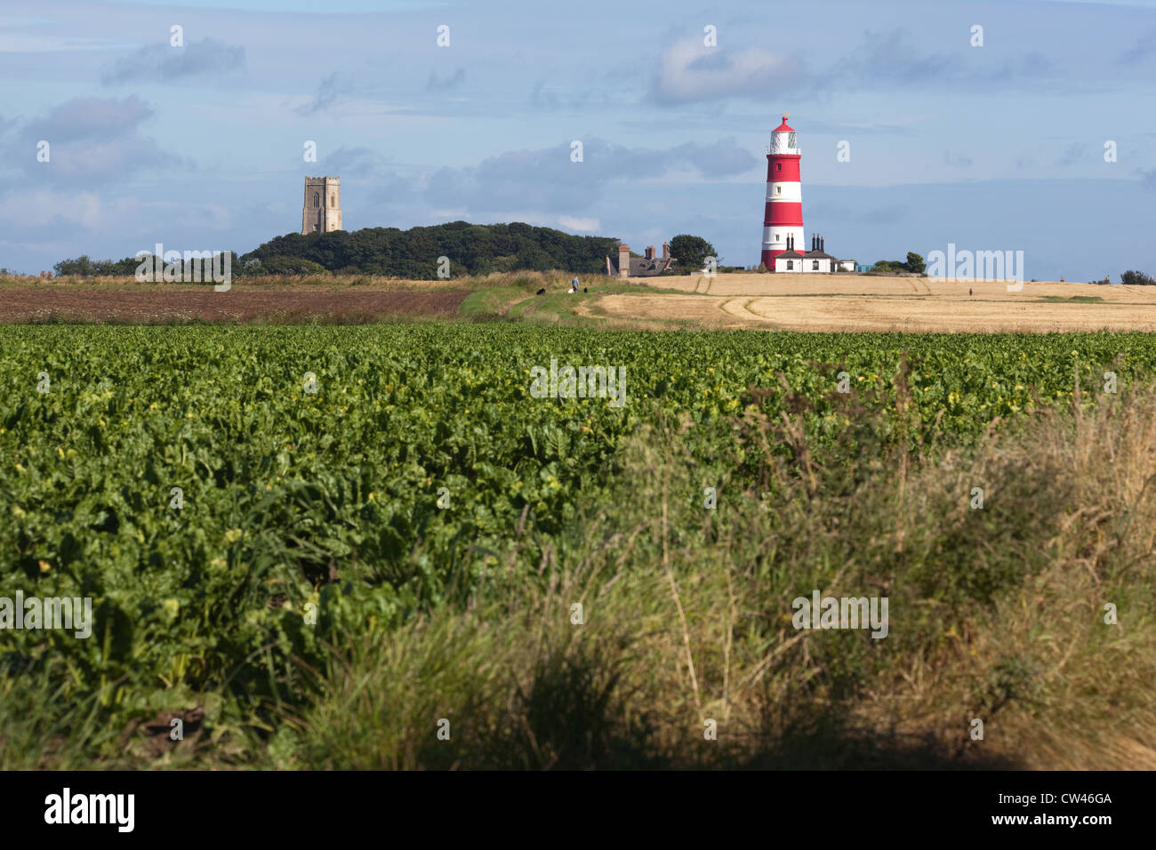 Happisburgh. North Norfolk. Kirche, Turm und Leuchtturm vom Warenkorb Lücke gesehen. Sommer. Juli. Stockfoto