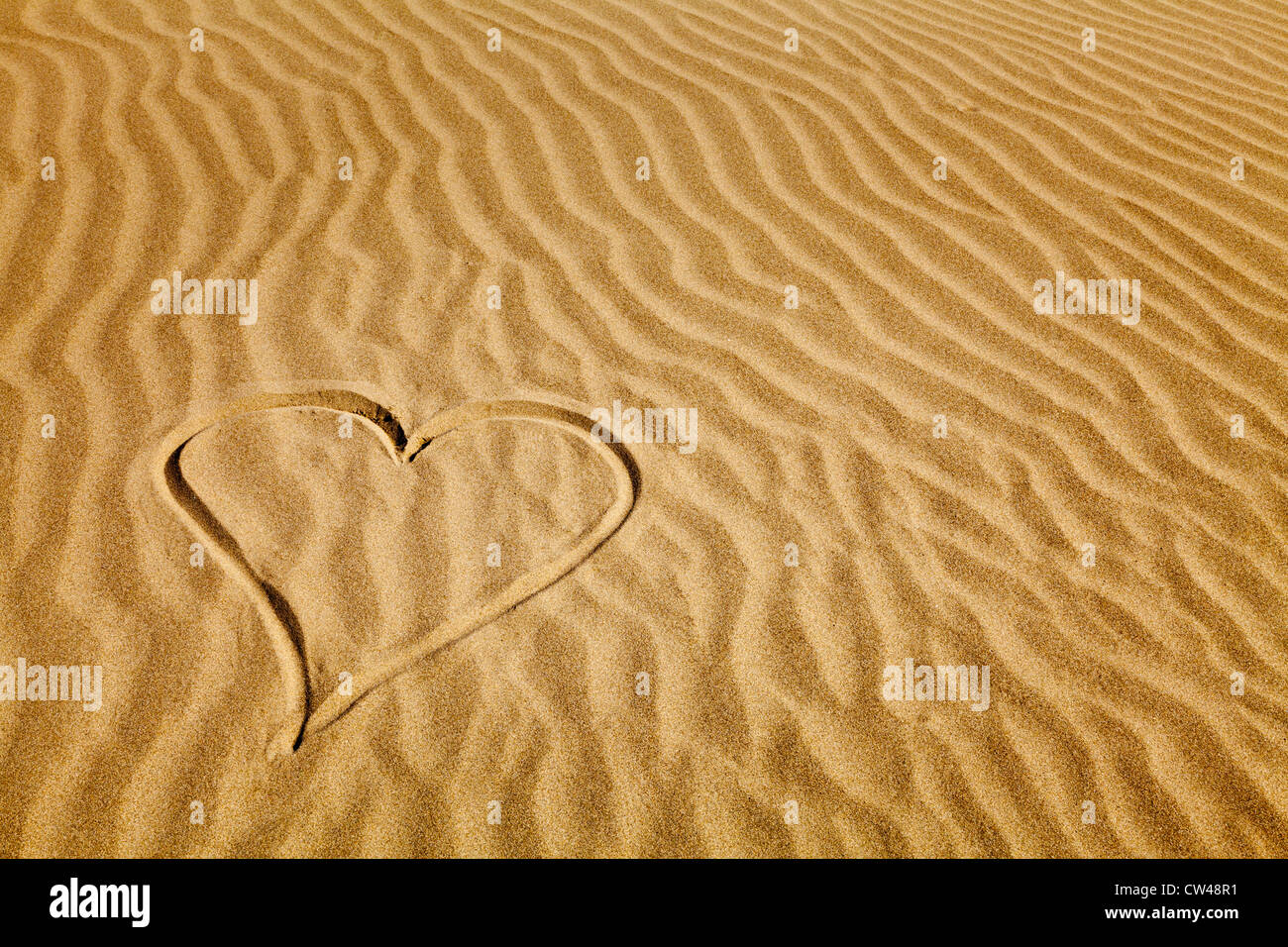 Herzform gezeichnet auf Sand auf den Strand, Pacific Beach, Washington State, USA Stockfoto