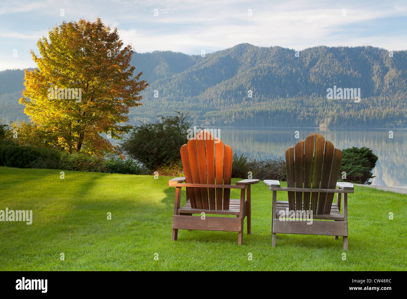 Adirondack Stühle in eine Liegewiese am Seeufer, Lake Quinault Lodge, Quinault, Olympic Nationalpark, Washington State, USA Stockfoto
