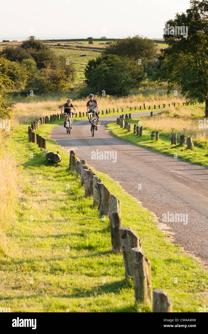 Country Park Track mit wooding Einfassung Beiträge zu Rande Parkplätze zu verhindern Stockfoto