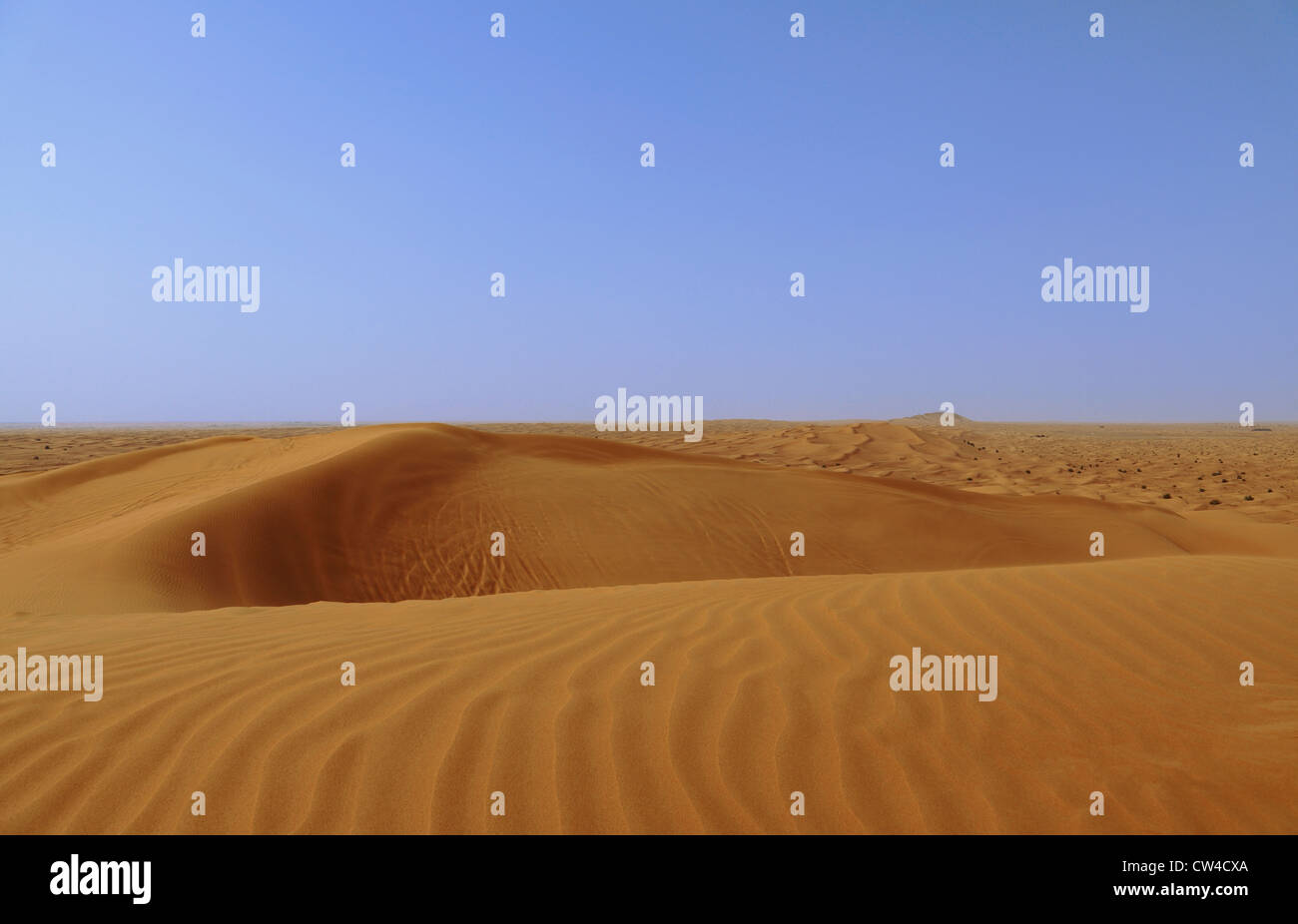 3520. Wüste, Wüste Bereich anzeigen, Dubai, Vereinigte Arabische Emirate. Stockfoto