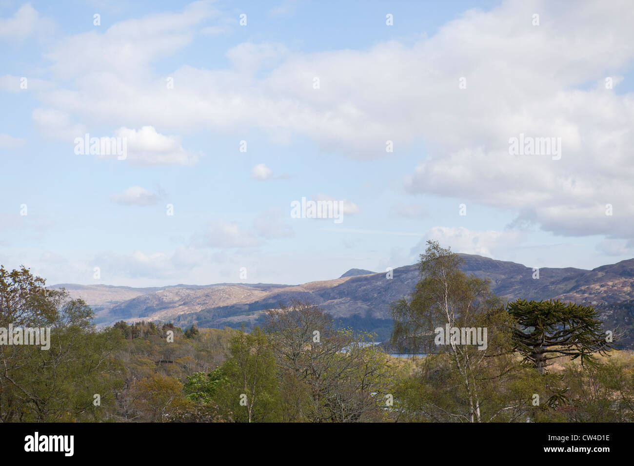 Blick auf Hügel mit Blick auf die Halbinsel Ardnamurchan, Loch Sunart, an der Westküste von Schottland Stockfoto