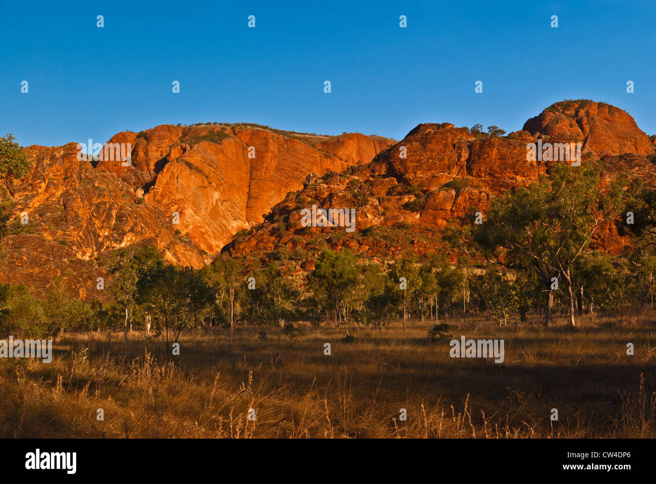 BUNGLE BUNGLE RANGE, PURNULULU NATIONAL PARK, WESTERN AUSTRALIA, AUSTRALIEN Stockfoto