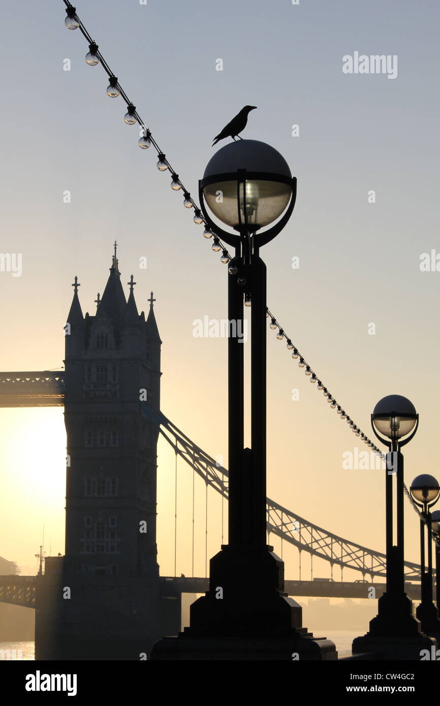 London, England. Krähe gehockt ornamentalen Laternenpfahl, Sonnenaufgang, Tower Bridge hinaus. Stockfoto