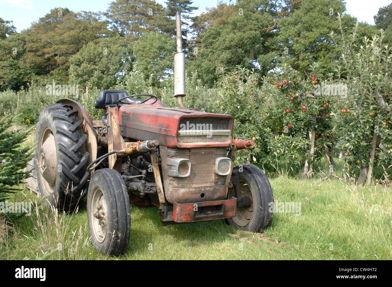 Alten Traktor in einer Apfelplantage Stockfoto
